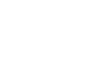 L'Hussier Ins Logo